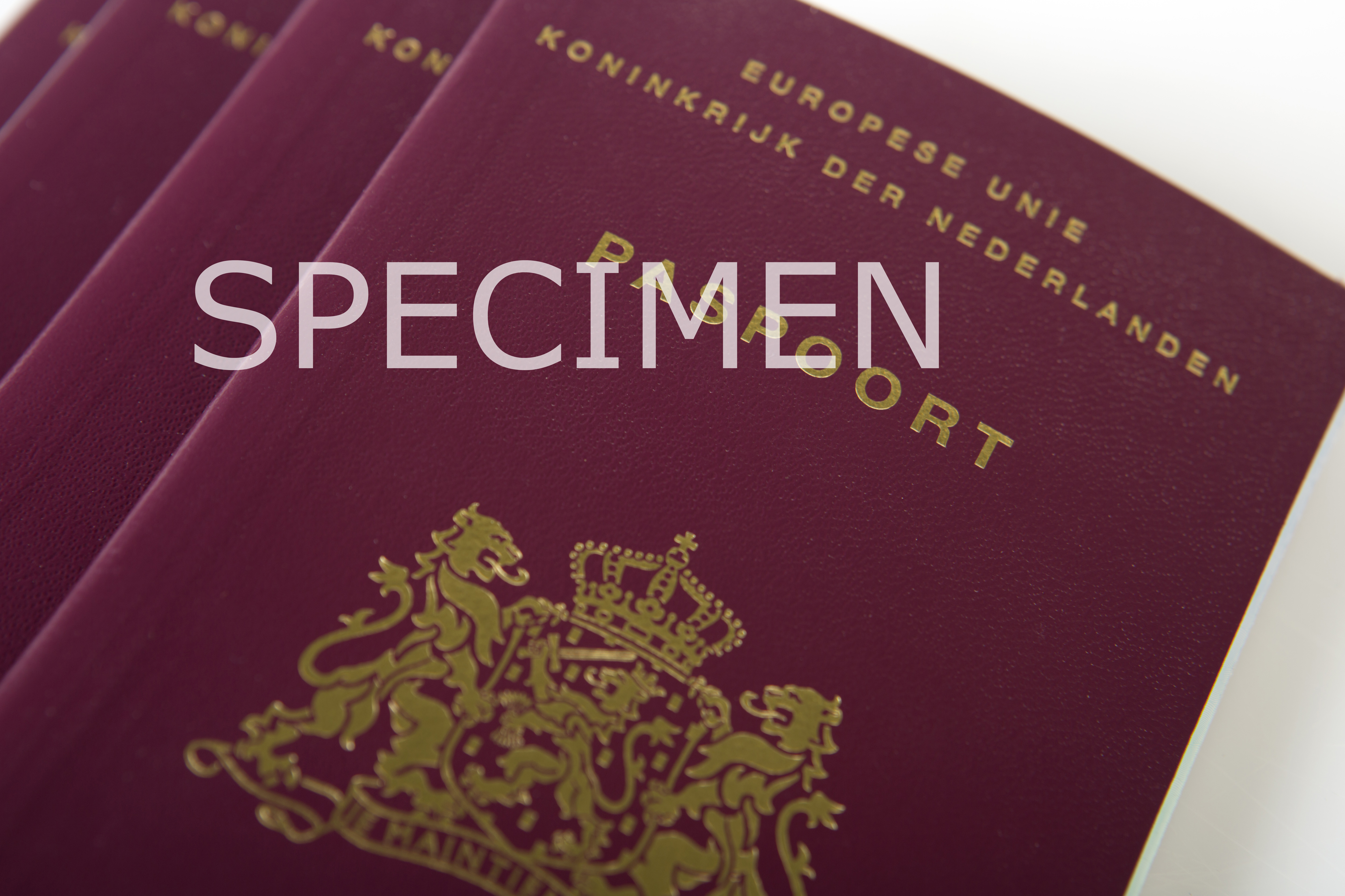 Een foto van een Nederlands paspoort model 2014. Over de foto heen staat specimen geschreven