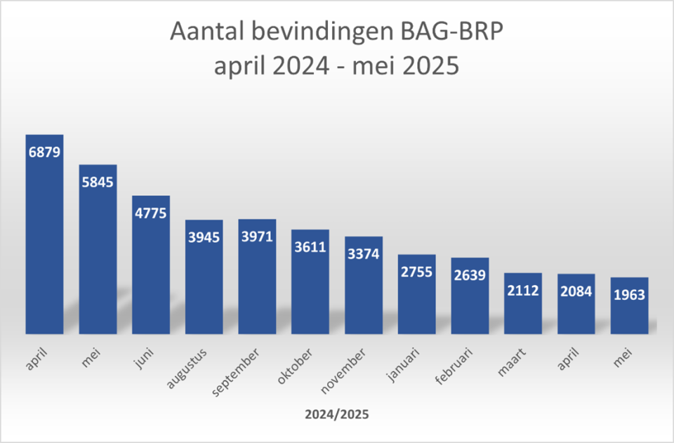 Schema met bevindingen BAG-BRP